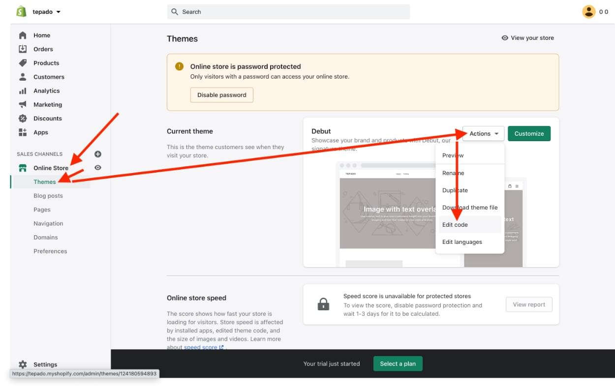 Obtain the Shopify theme ID
