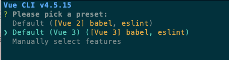 Vue CLI options