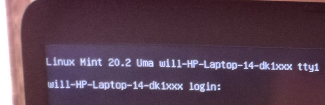 Screenshot of the terminal I see when I boot now.