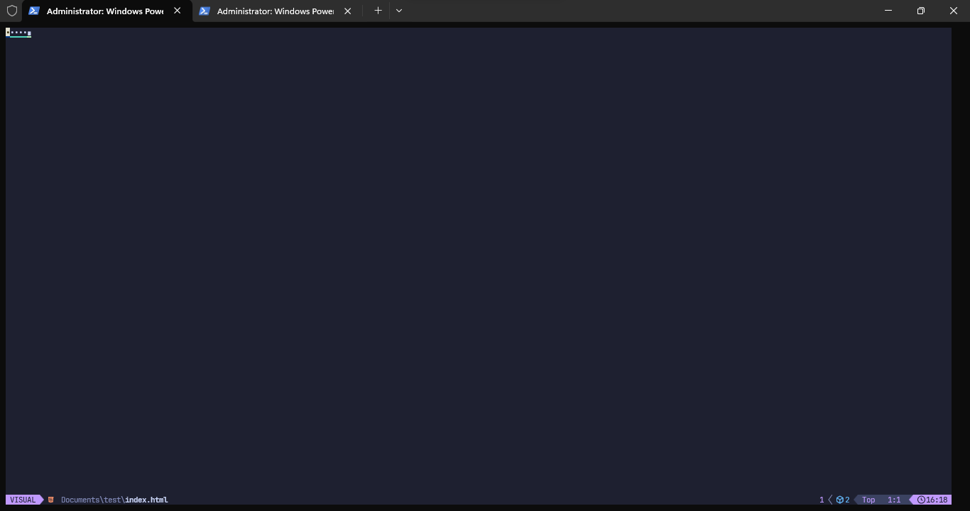 what is the problem with my nvim