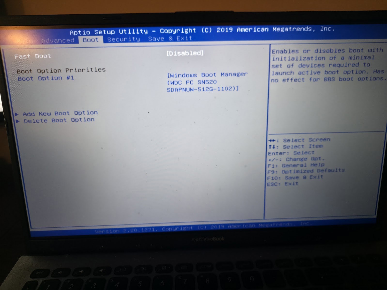 BIOS boot options